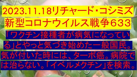 2023.11.18 リチャード・コシミズ新型コロナウイルス戦争６３３