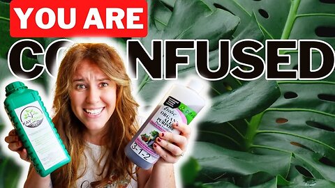 Fertilize Houseplants The Right Way! Soil Scientist Explains How To Choose The Right Fertilizer