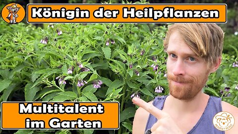 Diese Pflanze darf in keinem Garten fehlen