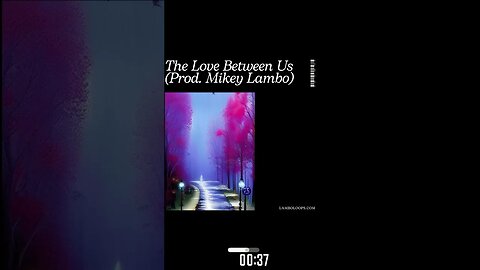 The Love Between Us ~ Emotional Boom Bap Type Beat (Prod. Mikey Lambo)