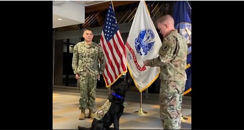 What are USU Facility Dogs?