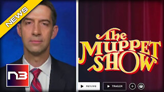 After the Left CANCELS the Muppets, Sen. Tom Cotton Goes OFF on Disney