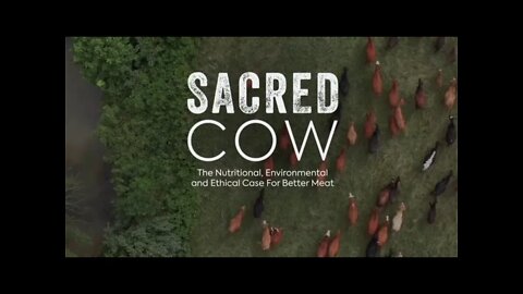 "Sacred Cow" Trailer