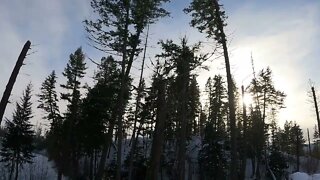 Snowshoeing in Whitefish, Montana