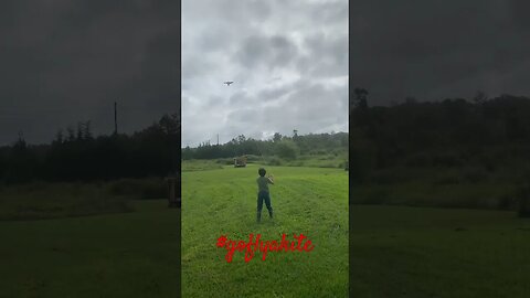 Flying a kite