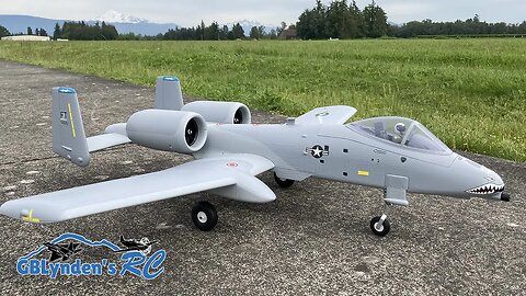 Curb Stomp | XFly A-10 Thunderbolt II Twin 50mm EDF Jet