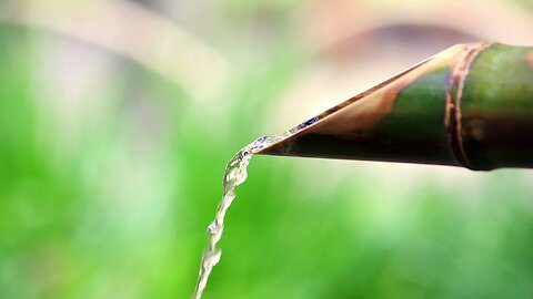 Bamboo Water Fountain