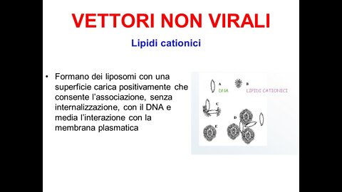 Lipidi cationici non destinati ad uso umano in sieri m-RNA