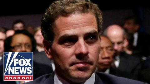 We were right, they were wrong on Hunter Biden: Sen. Johnson