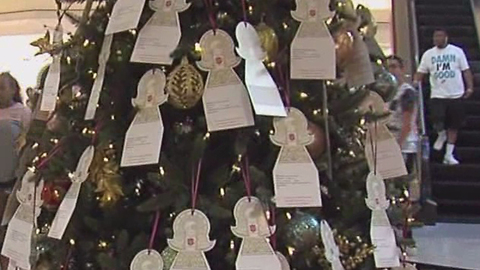 Angel Tree up at Gardens Mall