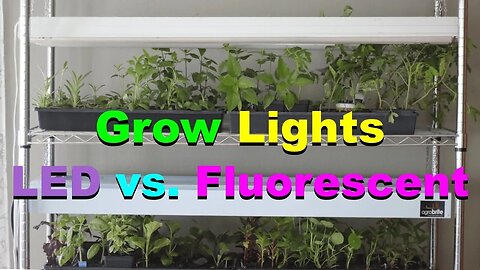 No. 958 – Grow Lights – LED vs. Fluorescent