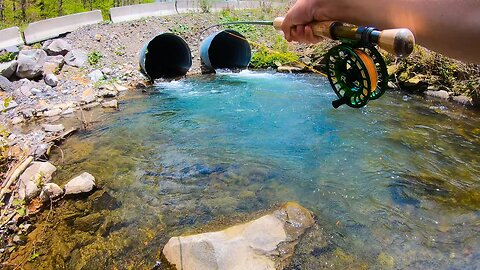 WE FOUND THE HONEY HOLE!! (Creek fishing for Trout)