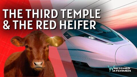 The Third Temple & The Red Heifer