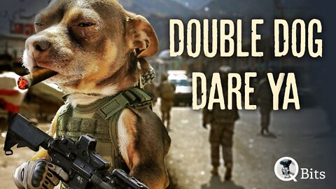 #588 // DOUBLE DOG DARE YA - LIVE