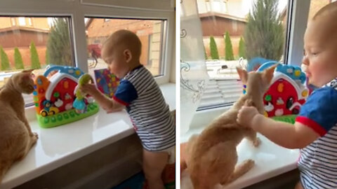 A Cute Baby Playing with His Toys And Cat