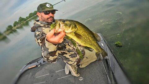 Uncharted Waters: Southern Fisherman's Surprising Northbound Journey!