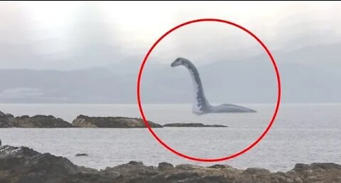 5 SEA SERPENT CAUGHT ON CAMERA