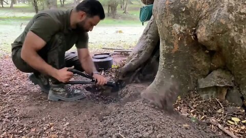 Tree hole shelter/10