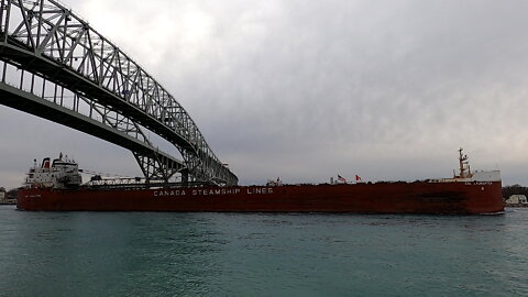 CSL Laurentien Bulk Carrier Cargo Ship In St Clair River