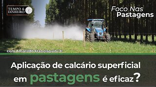 Foco nas Pastagens hoje com a aplicação de calcário superficial nas pastagens