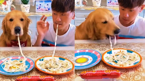 Dog vs Man - Noodle Competition - Who is the winner