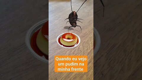 quando vejo um pudim na minha frente