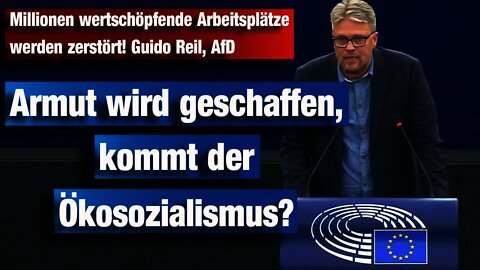 Millionen wertschöpfende Arbeitsplätze werden zerstört! Guido Reil, AfD