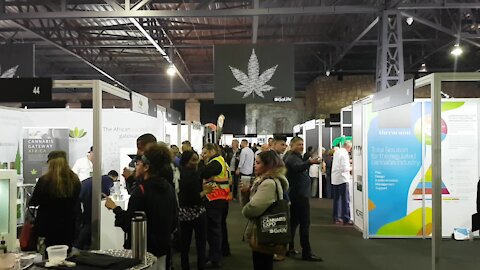 SOUTH AFRICA - Cape Town - Cannabis Expo (Video) (xnM)