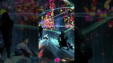 teamLab Borderless - Tokyo Japan #japan #lovejapan #japaneseculture