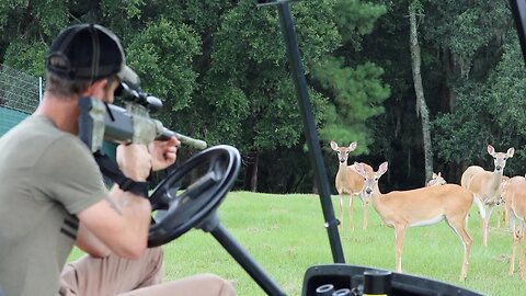 Behind the Scenes on our Deer Farm