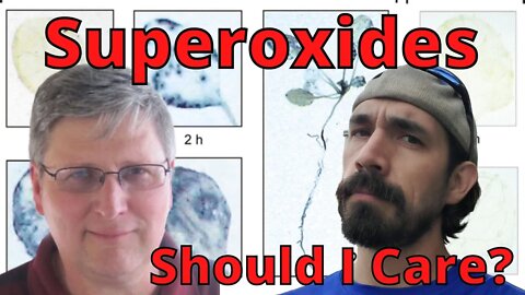 Why are superoxide so Important To Plant Health