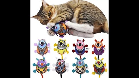 Pet Cat Toy Natural Catnip Pet Cat Matatabi Bell Sound Cat Toy Cat Supplies Vocal Cat