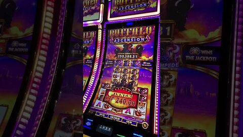 BIGGEST JACKPOT EVER ON BUFFALO Ascension #casino #buffalo #lasvegas