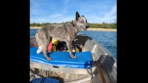 Gold Coast in Australia - They Need A Faster Boat