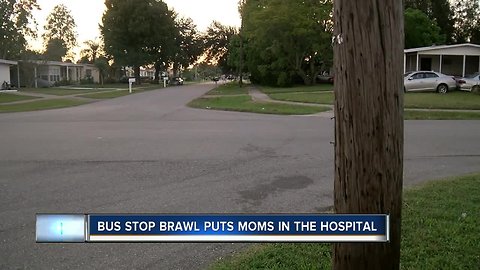 Moms brawl at school bus stop, 2 hospitalized