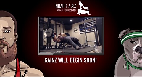 Gym w/Hank-a-Tank [Week 7] - Shoulders // 27yrs lifting iron, AMA // Animal Rescue Channel :)