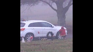 Santa at the cemetery.