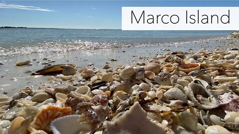 Virtual Beach Walk Florida. Marco Island Treasure Hunting!