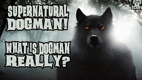 Spooky Supernatural Dogman Stories Told in the Rain Audiobook