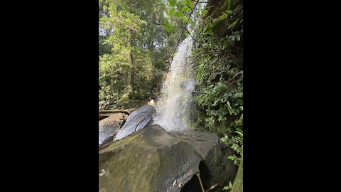 Journey to the waterfall in the forest