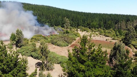 ΠΡΟΒΛΗΜΑΤΙΣΜΟΣ ΚΑΙ ΕΡΩΤΗΜΑΤΙΚΑ, 41 ΔΑΣΙΚΕΣ ΠΥΡΚΑΓΙΕΣ ΣΕ 24 ΩΡΕΣ ΣΤΗΝ ΕΛΛΑΔΑ