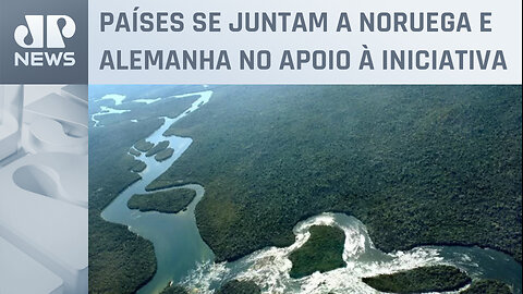 Fundo Amazônia recebe R$ 45 milhões de EUA e Suíça