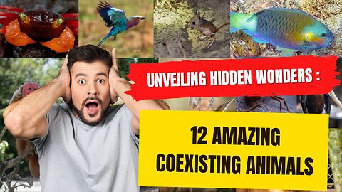 Unveiling Hidden Wonders - 12 Amazing Coexisting Animals