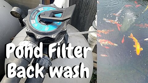 Backwashing a bead filter