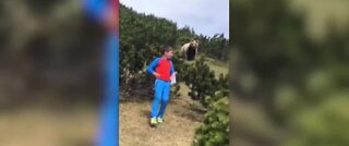 Bear follows boy through mountains