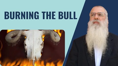 Parshat Shemini- Burning the bull