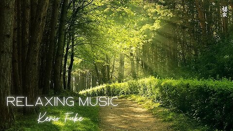 15 Minute Meditation Music, Calm Music, Relax, Meditation, Stress Relief, Spa, Study, Sleep