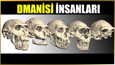 Dmanisi İnsanları