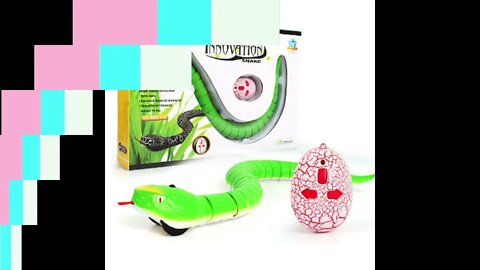 Remote Control Snake Toy