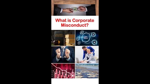 The spectrum of corporate misconduct